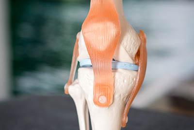 revalidatie_knie